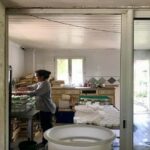 Alpilles: Discover vineyards and farms by electric bike - What to Expect from the Tour