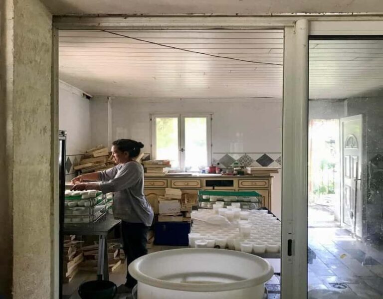 Alpilles: Discover vineyards and farms by electric bike - What to Expect from the Tour