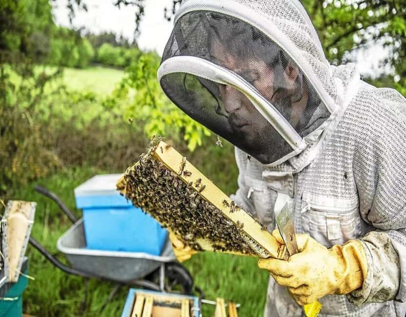 Alpilles: Discover vineyards and farms by electric bike - The Details: Practical Tips and Insights