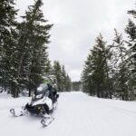 Alpine: Snowmobile Rental with Gear and Trailer - What to Expect During Your Ride