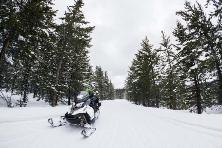 Alpine: Snowmobile Rental with Gear and Trailer - What to Expect During Your Ride