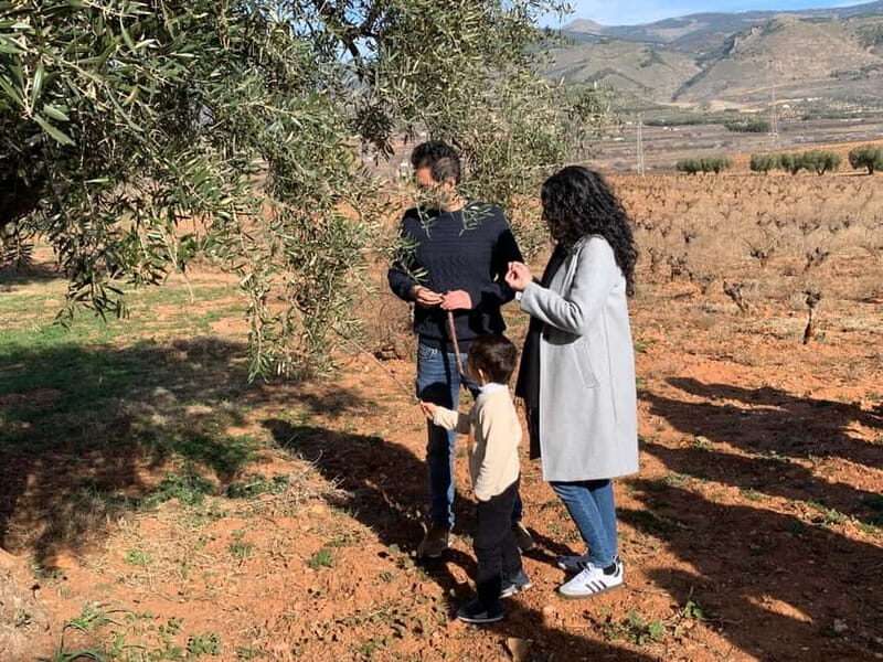 Alpujarra of Almería: Organic Wine tour and vegan aperitif - A Deep Dive into the Organic Wine Experience