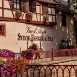 Alsace : Guided winery tour in Alsace - local wine tasting - The Practicalities: Transportation, Duration, and Accessibility