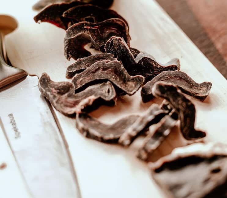 Alta: Sleigh Ride in the Arctic Countryside - In-Depth Review