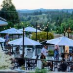 Amador County Wine Tasting Digital Passport - What to Expect From Your Wine Tasting Experience