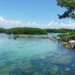 Amazing Cenote Yalku, swim in sacred waters. Transport & Guide - Details of the Itinerary