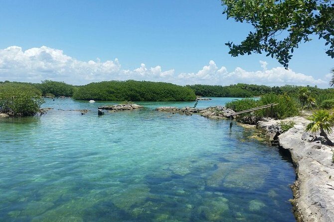 Amazing Cenote Yalku, swim in sacred waters. Transport & Guide - Details of the Itinerary