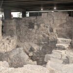 Amazing guided Notre dame and Ile de la cité tour with crypt - What’s Included and What’s Not