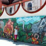 Amazing Mountain Coffee Private Experience - Why This Tour Offers Real Value