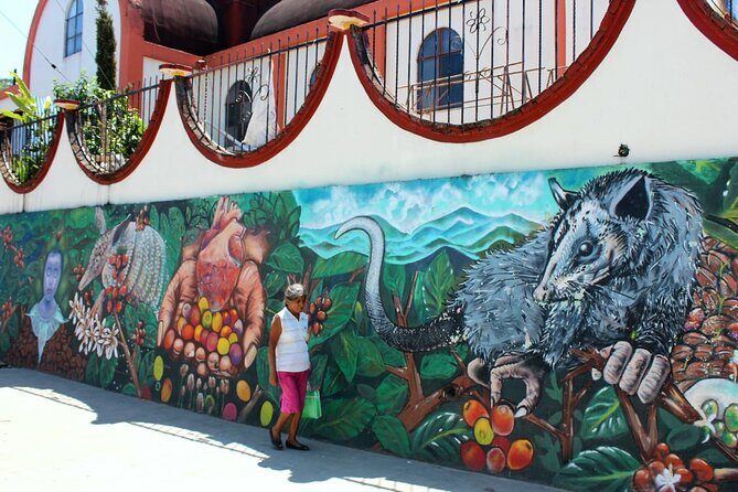 Amazing Mountain Coffee Private Experience - Why This Tour Offers Real Value