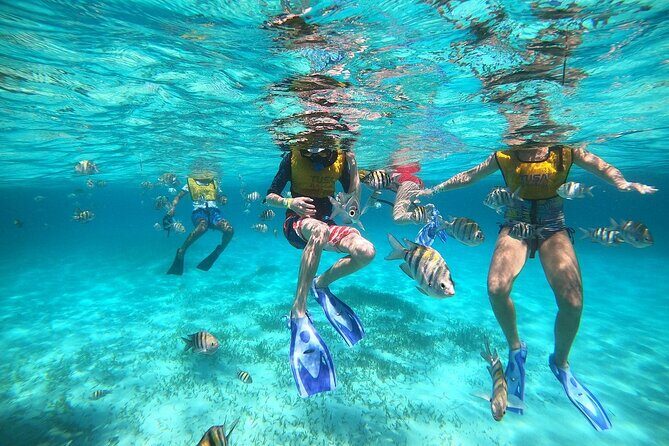 Amazing Snorkel Adventure! Round Transportation From Cancun - Snorkel Gear and Additional Costs