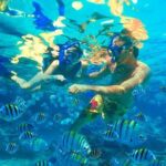 Amazing snorkeling full-day tour to Cozumel Cielo Starfish Reef - Practical Insights and Considerations