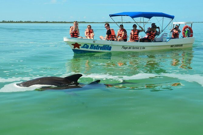 Amazing tour to Sian Kaan Biosphere Reserve. Perfect tour for nature lovers - The Boat Adventure: A Highlight of the Day