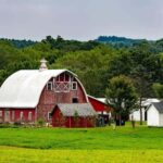 Amish Farm and House 1-Day Tour From Washington D.C. - The Complete Experience: Detailed Breakdown and What to Expect
