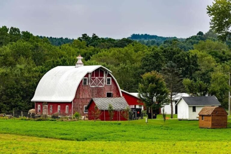 Amish Farm and House 1-Day Tour From Washington D.C. - The Complete Experience: Detailed Breakdown and What to Expect