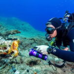 Amorgos Underwater Experience Open Water Diver Course - What the Course Entails