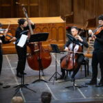 Amsterdam Concert: A. Vivaldi - Four Seasons at Begijnhof - Who Should Book This Experience?