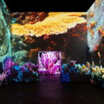 Amsterdam: Fabrique des Lumières The Sea Entry Ticket - The Ticket and Entry Process