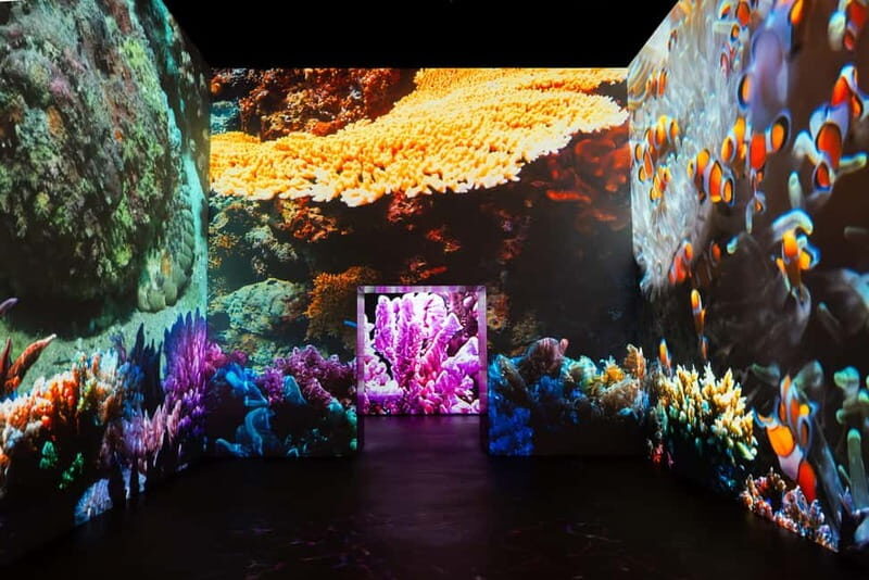 Amsterdam: Fabrique des Lumières The Sea Entry Ticket - The Ticket and Entry Process