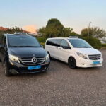 Amsterdam: Keukenhof and Tulip Fields Private Day Trip - Why This Tour Stands Out