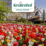 Amsterdam: Keukenhof Entry & Shuttlebus with Flexible Return - What to Expect During Your Day
