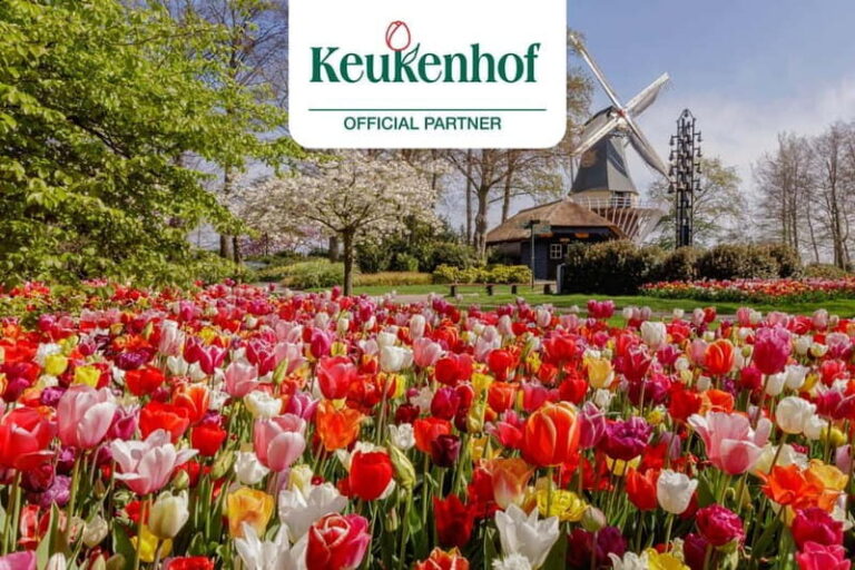 Amsterdam: Keukenhof Entry & Shuttlebus with Flexible Return - What to Expect During Your Day