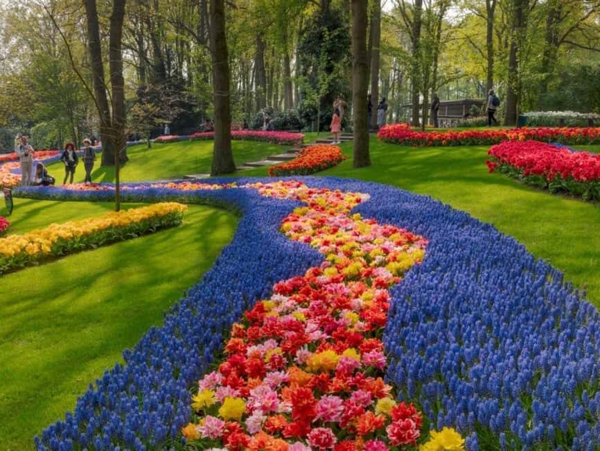 Amsterdam: Keukenhof Gardens & Tulip Fields Private Tour - What Sets This Tour Apart?