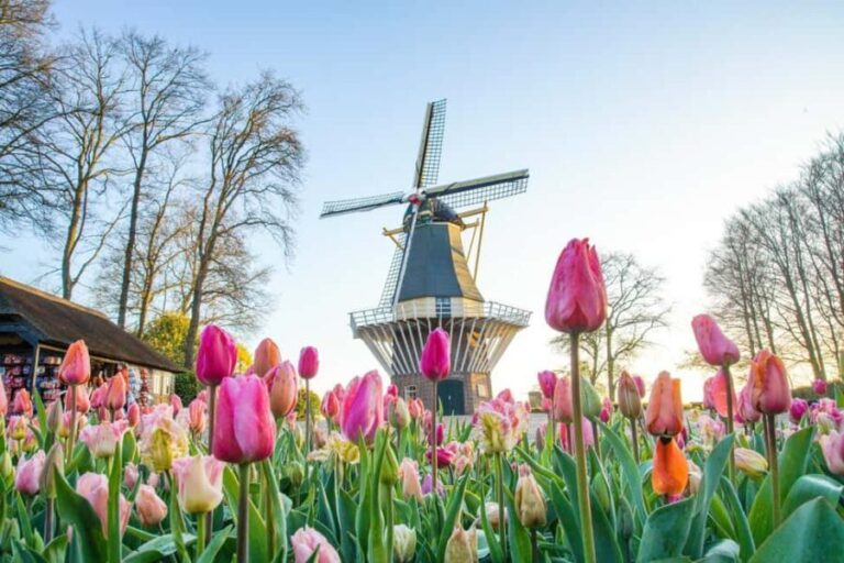 Amsterdam: Keukenhof Guided Tour and Flower Parade April 18 - What’s Included and What to Bring