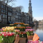Amsterdam: Premium Tulip Boat Canal Tour - Why Travelers Love This Tour
