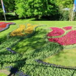 Amsterdam: Private Tour to Keukenhof & Free Tulip Experience - Practical Details & Tips