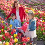 Amsterdam : Tulip Wonderland Tour - The Tulip Barn Experience