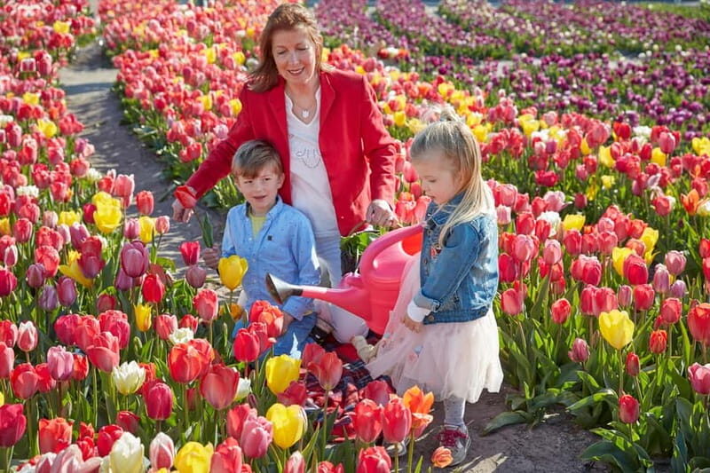 Amsterdam : Tulip Wonderland Tour - The Tulip Barn Experience