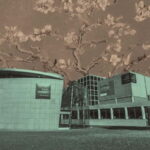 Amsterdam: Van Gogh Museum Private Guided Tour - The Value of a Private Guided Tour