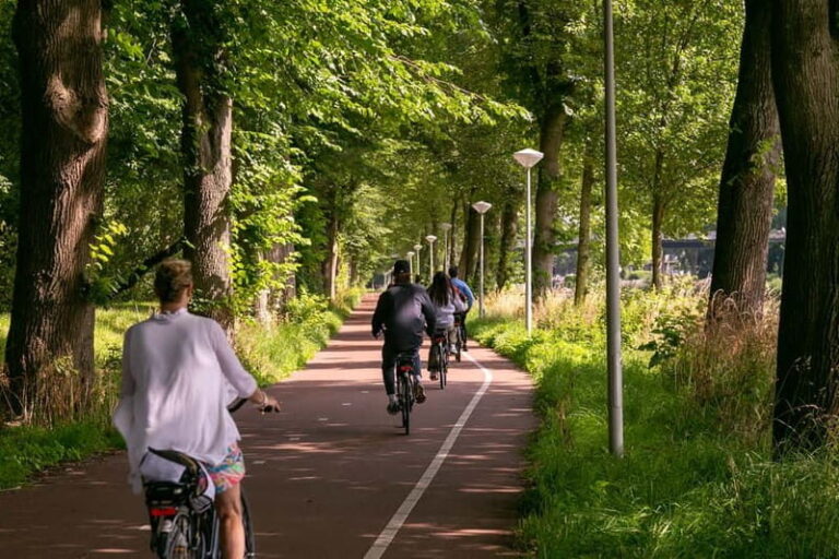 Amsterdam: Windmill, Cheese, and Countryside E-Bike Tour - Detailed Itinerary Overview