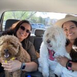 An Evening in Old Town - Practical Details That Matter