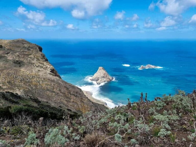 Anaga Mountains Tenerife - Chamorga Guided Hike - Why Choose This Tour?