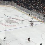 Anaheim Ducks Ice Hockey Game at Honda Center - Who Is This Tour Best For?