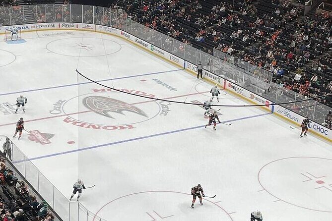 Anaheim Ducks Ice Hockey Game at Honda Center - Who Is This Tour Best For?