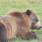 Anchorage: Portage Glacier and Wildlife Explorer Cruise - The Practicalities: Transportation, Group Size, and Cost