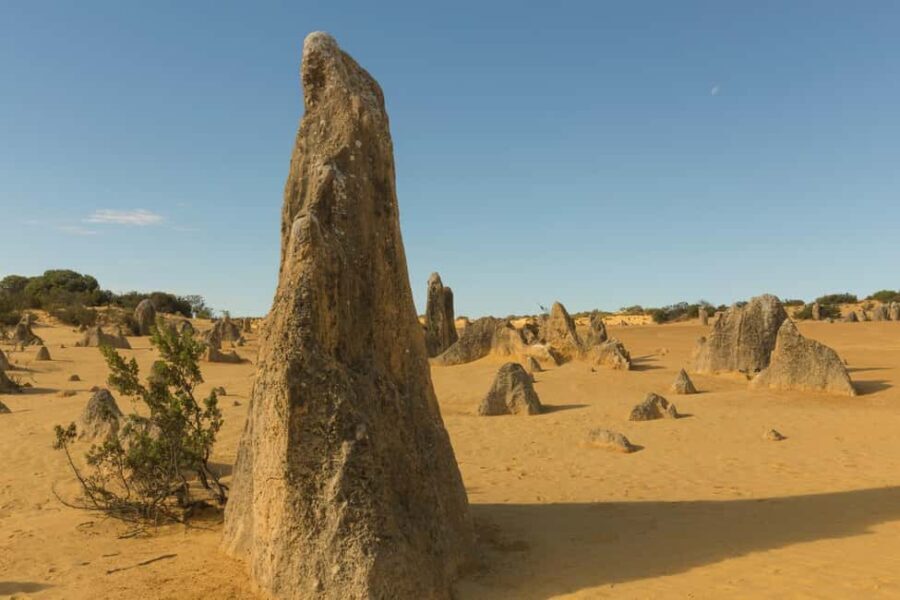 Ancient Echoes: Private Tour of Callanishs Stone Circles - Why This Tour Offers Value