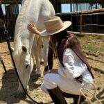 Andalusia, Spain: Horseback Safari with Gourmet Picnic - Good To Know