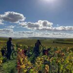 Angélique's electric bike tour in Champagne - The Champagne Tasting Experience