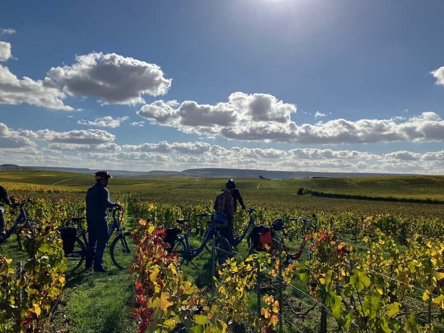 Angélique's electric bike tour in Champagne - The Champagne Tasting Experience