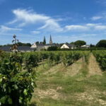 Angers: Ride on the banks of the Loire in electric Tuk Tuk - Detailed Breakdown of the Itinerary