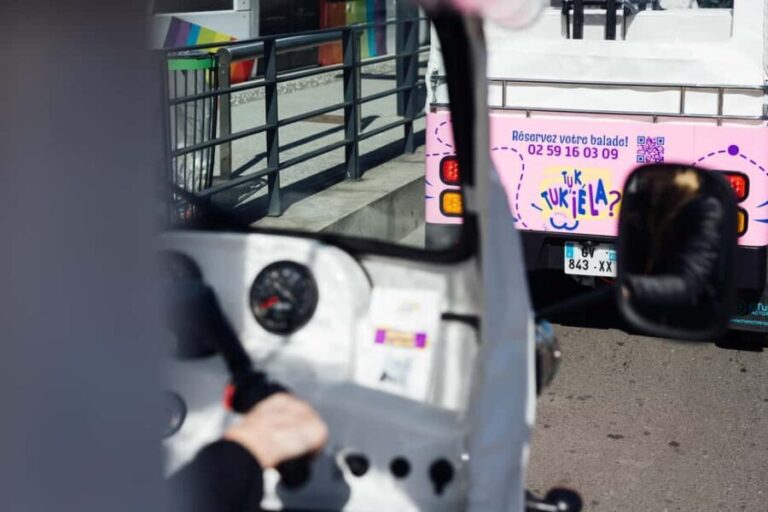 Angers: Street Art ride in an electric Tuk Tuk - Exploring the Street Art Scene