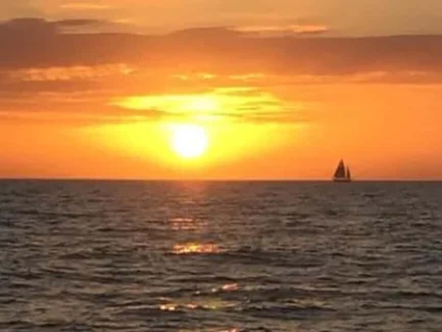 Anna Maria Island: Sunset Dolphin Cruise - Final Thoughts