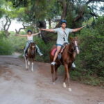 Antalya: Deniz Molal At Safarisi - What the Tour Entails