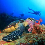Antalya/Kemer: Scuba Diving Experience with 2 Dives & Lunch - Practical Details and Tips for Your Trip