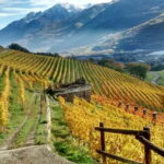Aosta Valley: Visit and wine tasting at the Grosjean winery - Why This Tour Is Worth Considering