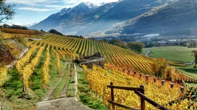 Aosta Valley: Visit and wine tasting at the Grosjean winery - Why This Tour Is Worth Considering
